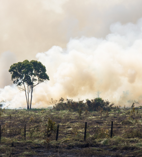 Land being cleared by fire for agriculture