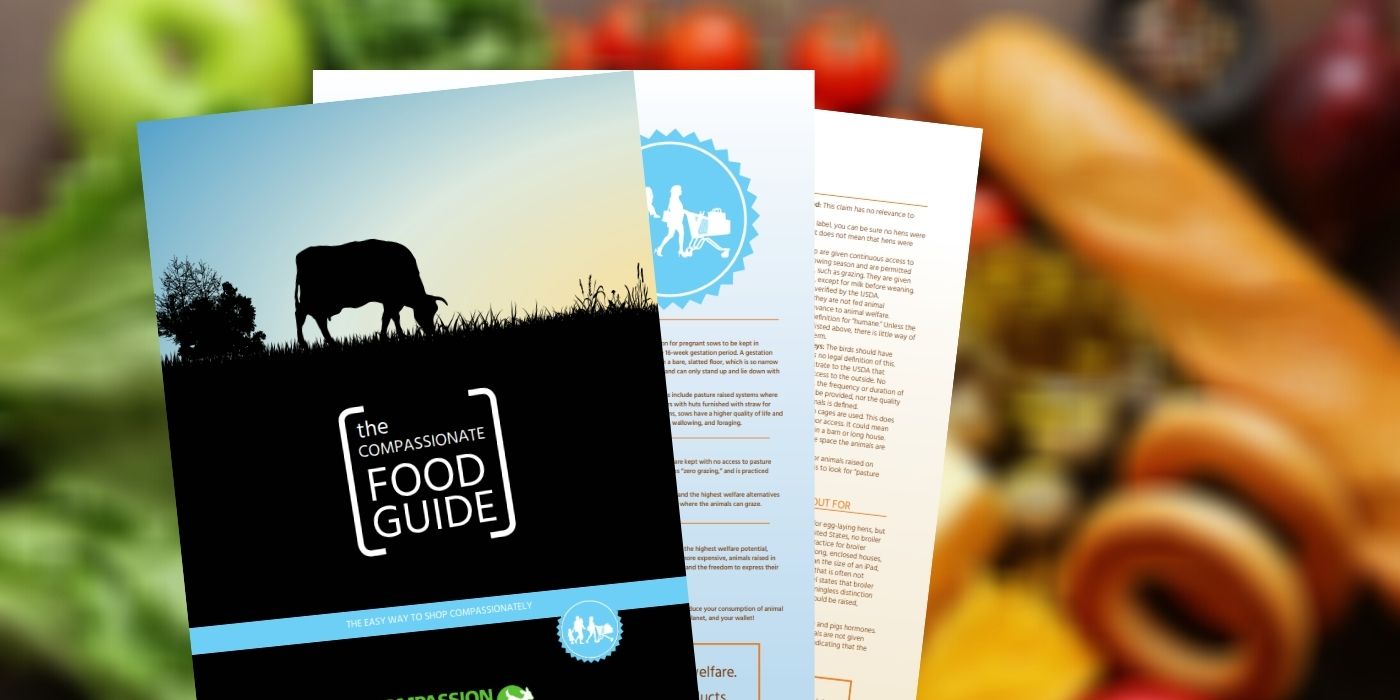 Image of the Compassionate Food Guide