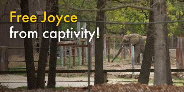 Free Joyce from captivity!