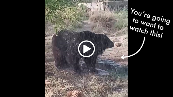 You're going to want to watch this video!