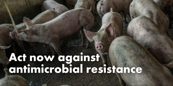 Act now against antimicrobial resistance
