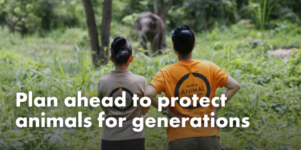 Plan ahead to protect animals for generations 