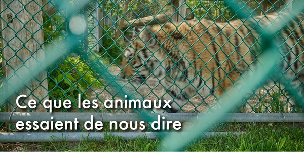 Ce que les animaux essaient de nous dire