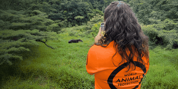 Créer un monde plus bienveillant pour les animaux… de la ferme à la nature.  
