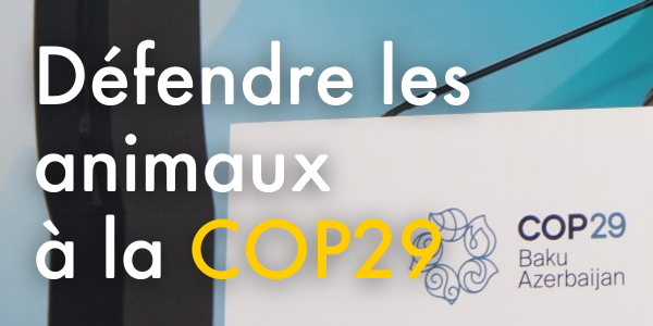 Défendre les animaux à la COP29