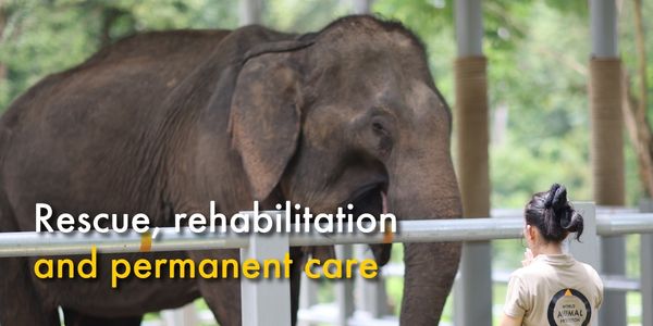 The difference between rescue, rehabilitation and permanent care 