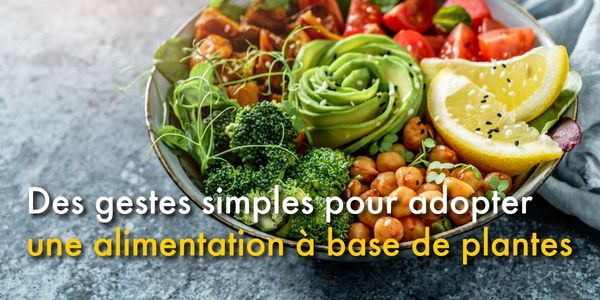 Des gestes simples pour adopter une alimentation à base de plante