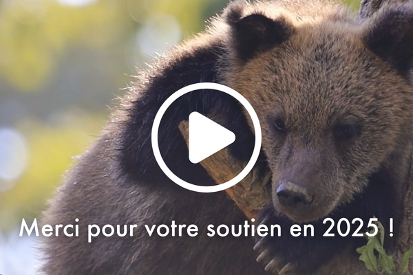 Merci pour votre soutien en 2025 !