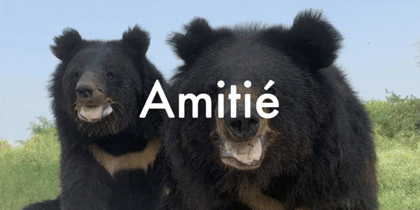 Amitié. Famille. Bienveillance. L’amour est sauvage. 