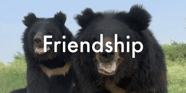 Friendship, family, care. Love is wild.