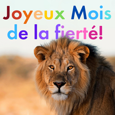 Joyeux Mois de la fierté! 