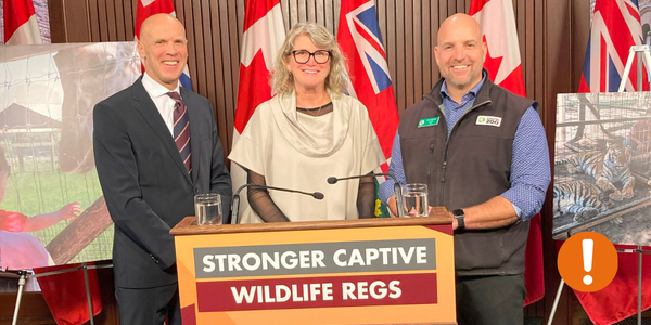 Introducing the Captive Wildlife Protection Act