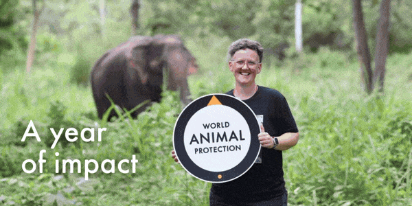 A year of impact - and a new year of possibility