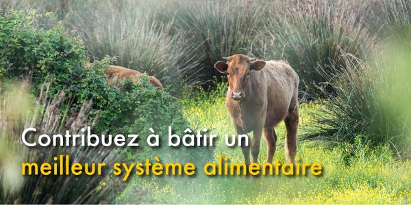Contribuez à bâtir un meilleur système alimentaire