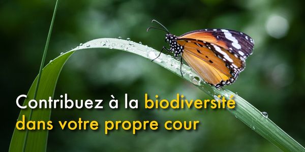 Ce que les animaux essaient de nous dire