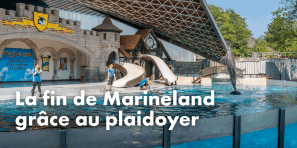 La fin de Marineland grâce au plaidoyer