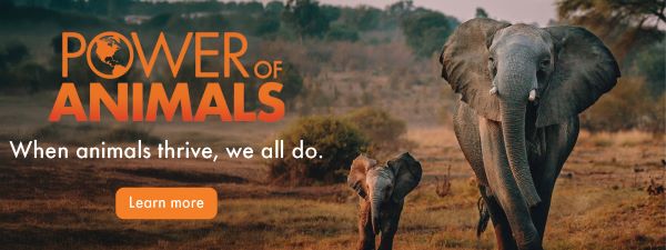 Power of Animals - When animals thrive, we all do. 