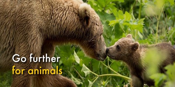 Go further for animals
