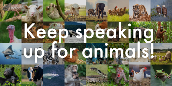 It's time to Vote for Animals