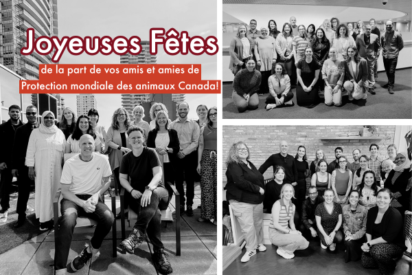 Agissez maintenant contre la résistance aux antimicrobiens