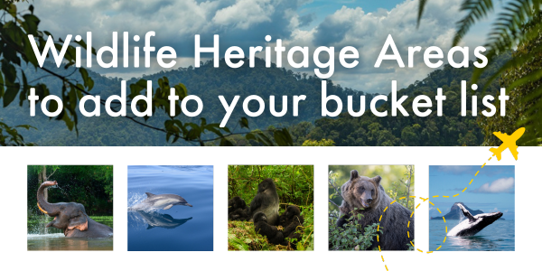 Wildlife Heritage Areas to add to your bucket list