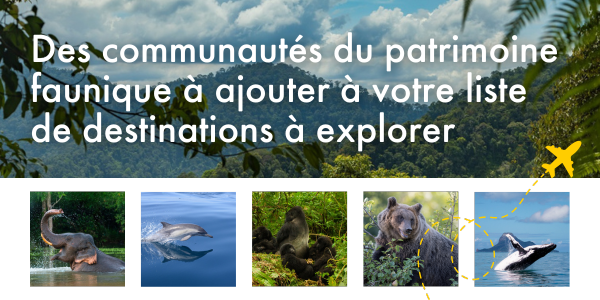 Des communautés du patrimoine faunique à ajouter à votre liste de destinations à explorer 