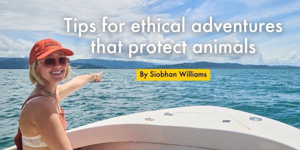 Tips for ethical adventures that protect animals