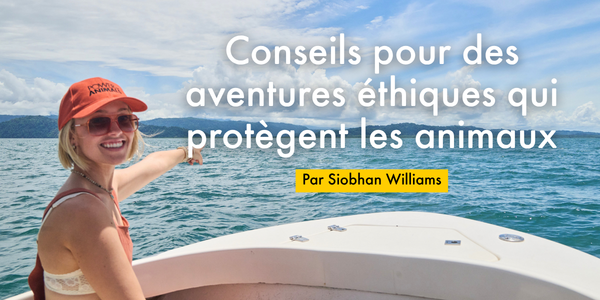 Conseils pour des aventures éthiques qui protègent les animaux