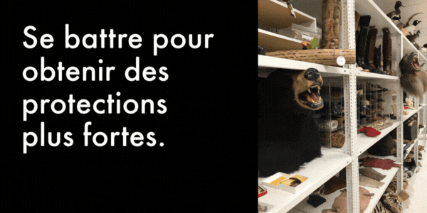 Se battre pour obtenir des protections plus fortes. Ensemble. 