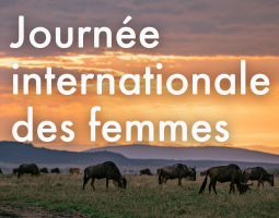 Journée internationale des femmes