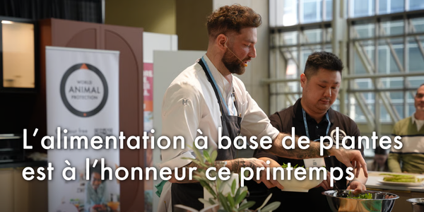 L’alimentation à base de plantes est à l’honneur ce printemps