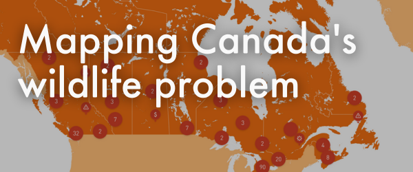 Mapping Canada's wildlife problem