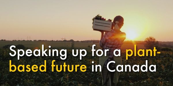 Speaking up for a plant-based future in Canada 