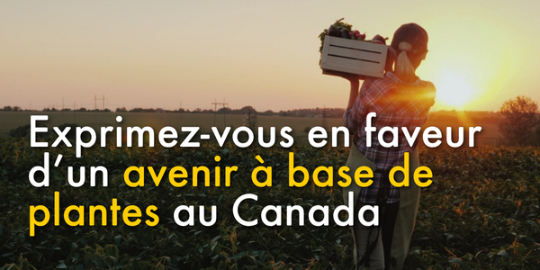 Exprimez-vous en faveur d’un avenir à base de plantes au Canada 