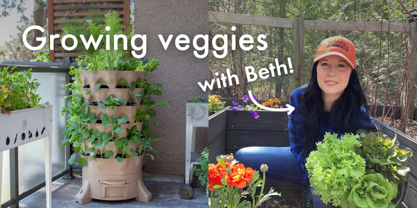 Growing veggies with Beth!