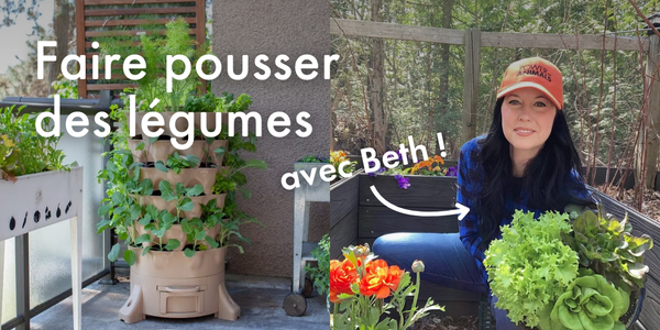 Faire pousser des légumes avec Beth !