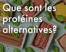 Que sont les protéines alternatives? 