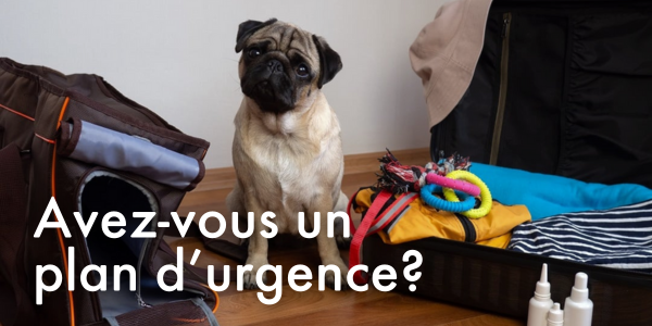 Avez-vous un plan d’urgence? 