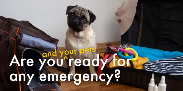 Are you and your pets ready for any emergency?