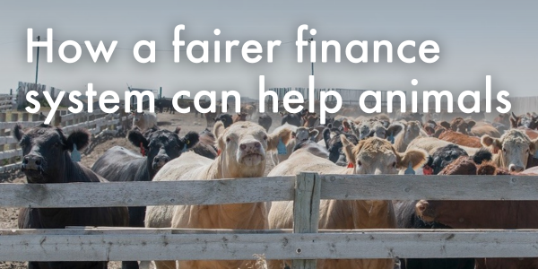 How a fairer finance system can help animals