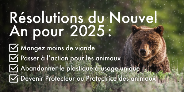 Résolutions du Nouvel An pour 2025 