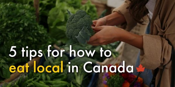 5 tips for how to eat local in Canada 