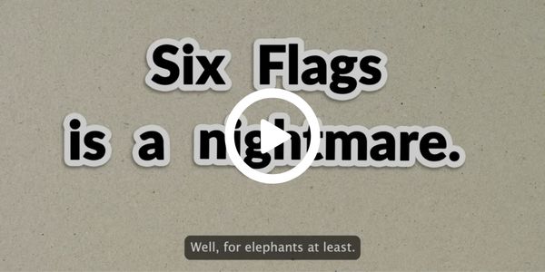 Six Flags is a nightmare for elephants.