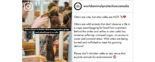 Can you tell them a part?