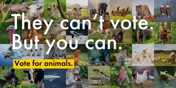 Animals can't vote, but you can. Vote for animals.