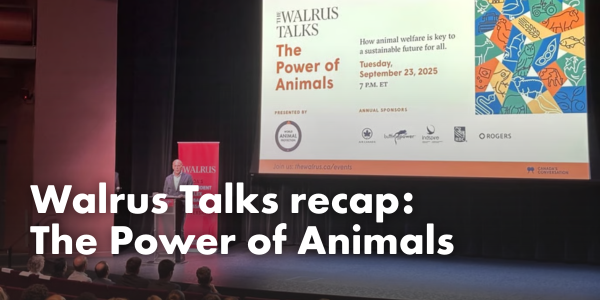 Walrus Talks recap