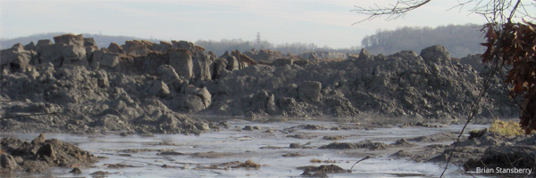 Coal Ash Spill