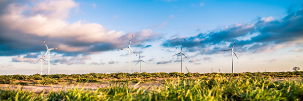 Wind Farm