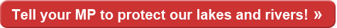 Email your MP