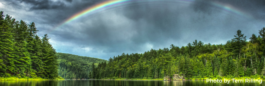 Rainbow Donation Page.png Rainbow Donation Page.png